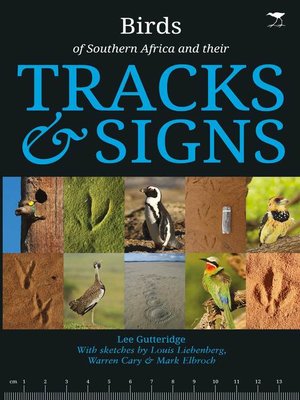 cover image of Birds of Southern Africa and their Tracks and Signs